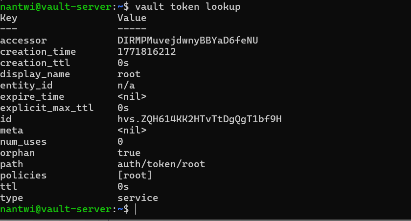 Vault token lookup output showing token details